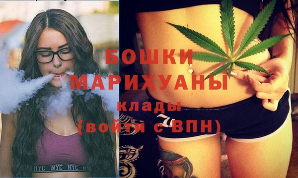 спайс Нея
