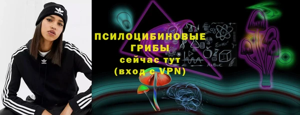 спайс Нея