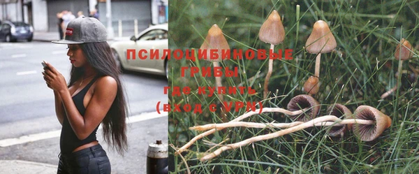 ALPHA PVP Нефтегорск