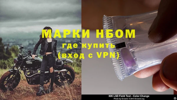 спайс Нея