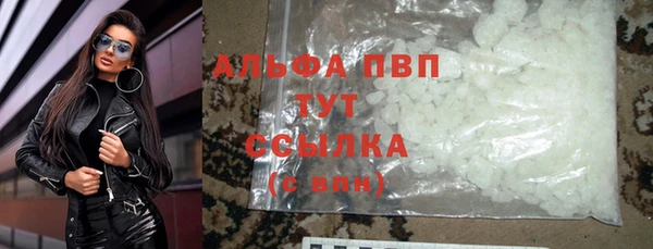 спайс Нея