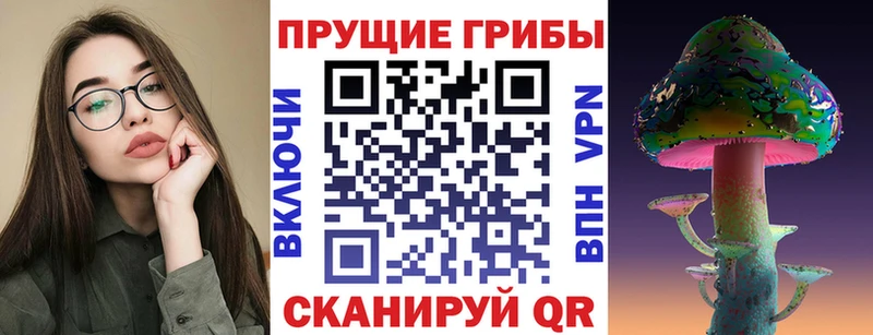 Галлюциногенные грибы Psilocybine cubensis  Муром 
