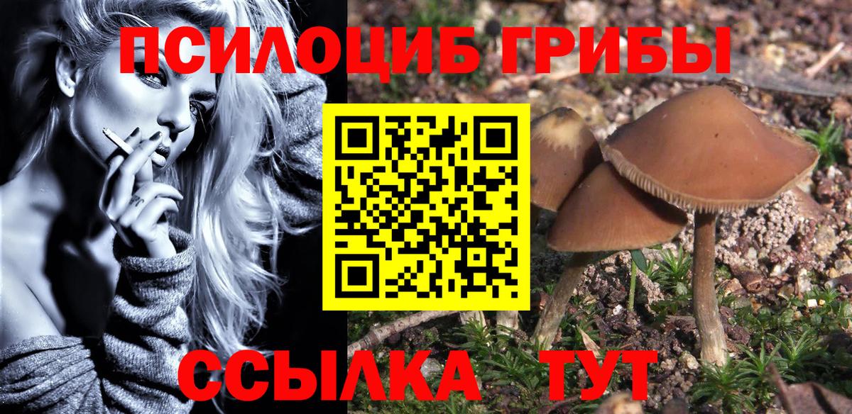 Муром  Галлюциногенные грибы Magic Shrooms  Псилоцибиновые грибы MAGIC MUSHROOMS  Вход с VPN 