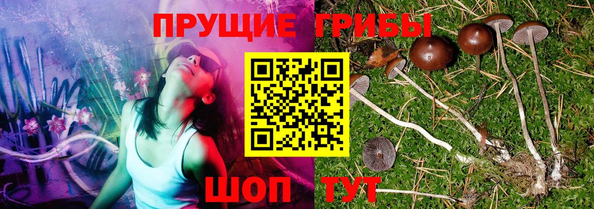 Галлюциногенные грибы Cubensis  Муром 