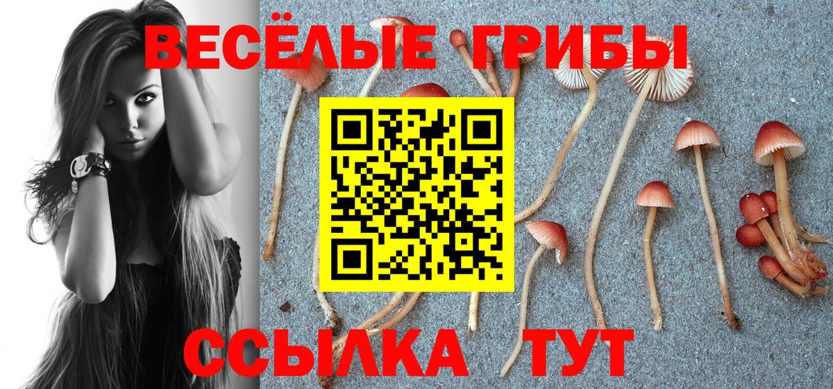 Псилоцибиновые грибы мицелий Муром