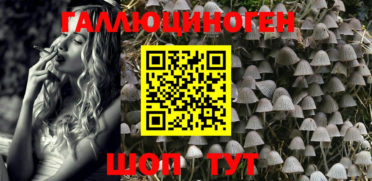Псилоцибиновые грибы ЛСД Муром
